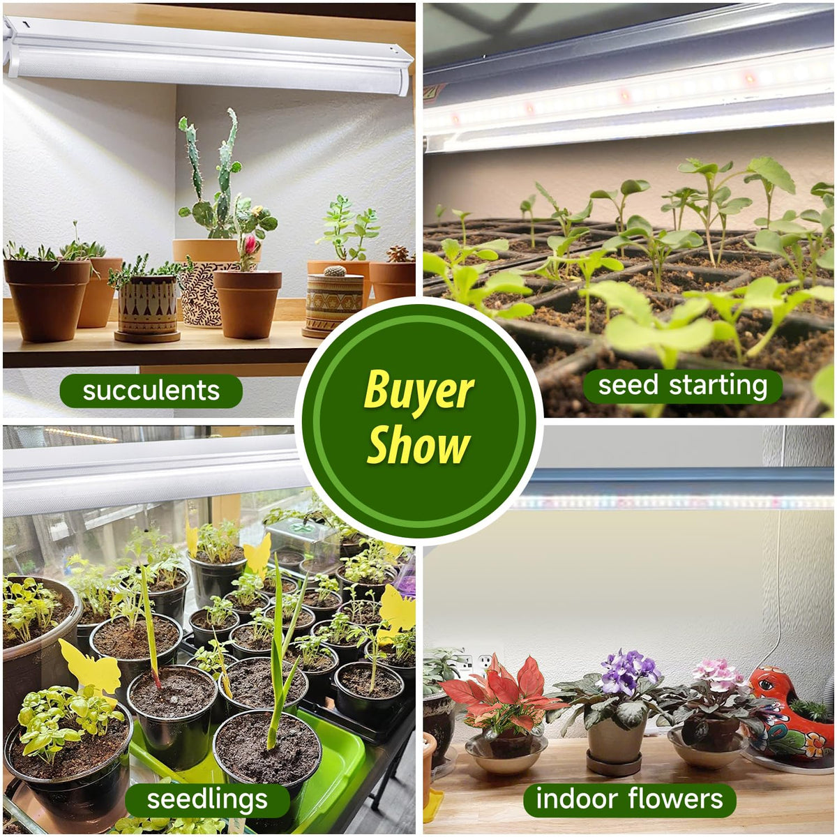Two 10W tubes provide bright, energy-efficient grow lighting for shelves.