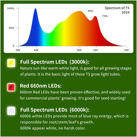 Bokeedo 12-month warranty and responsive support for grow lights.