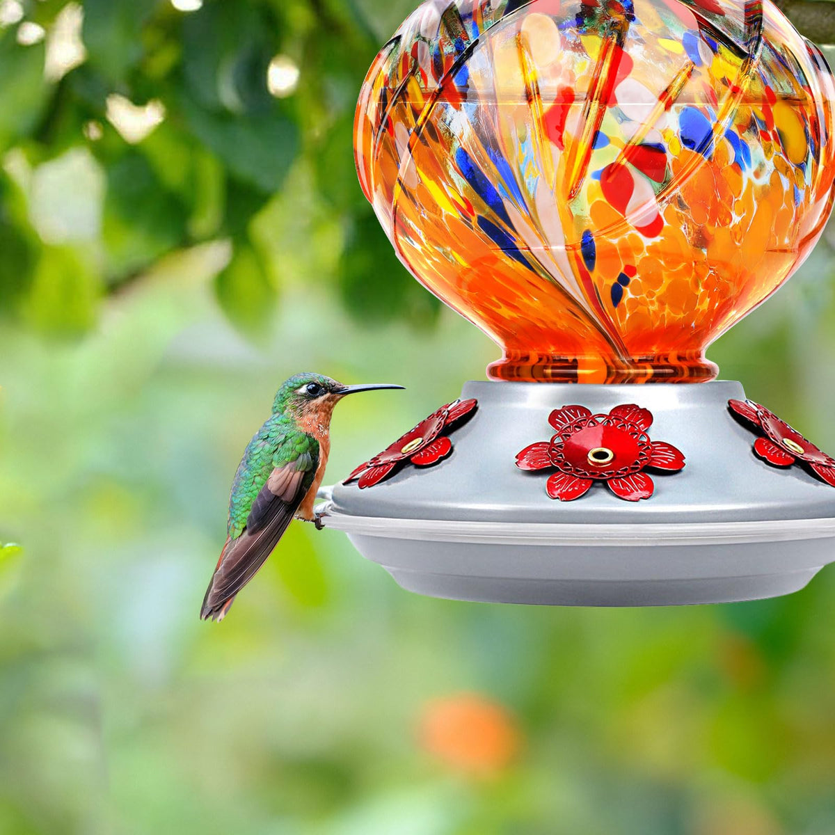 Bolite feeder shows ant moat and bee-proof ports for nectar protection while feeding.