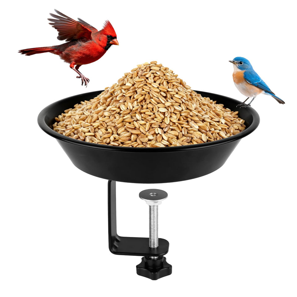 BOLITE balcony bird feeder on rail enables convenient balcony birdwatching.