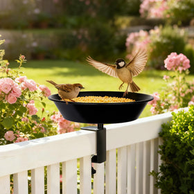 BOLITE deck railing feeder with seed tray for easy outdoor feeding.