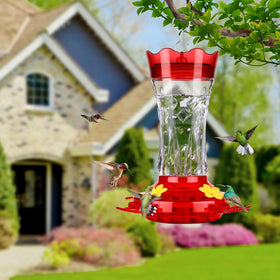 Bolite Glass Hummingbird Feeder with ant moat on top keeps nectar clean and ants away.