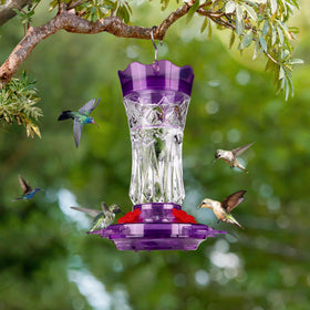 BOLITE feeder with built-in ant moat prevents nectar contamination.