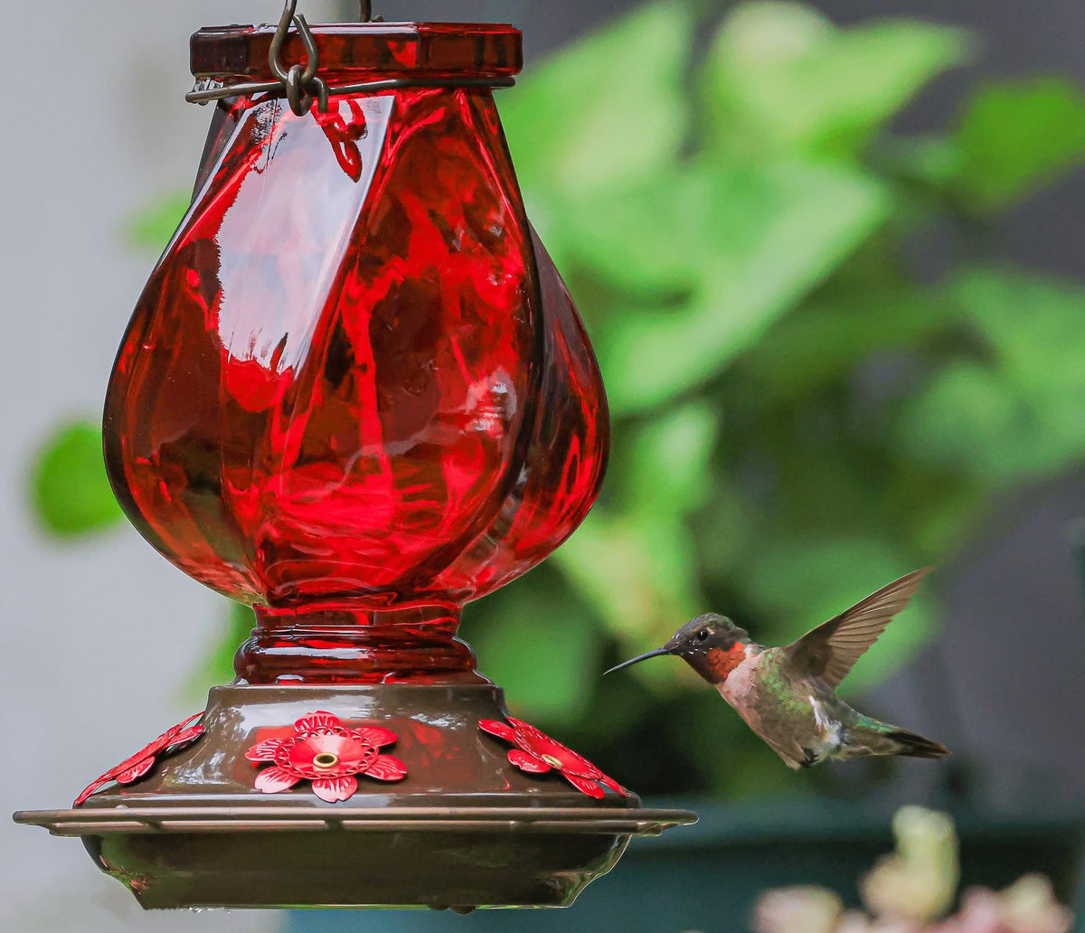 BOLITE 22oz capacity minimizes frequent refills for busy watchers.