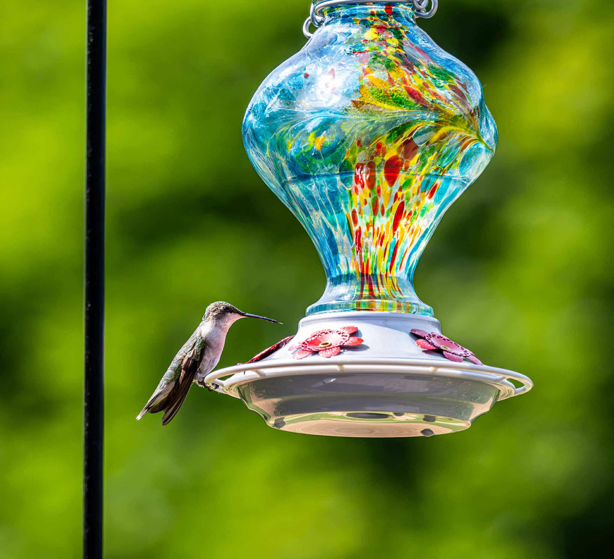 BOLITE 360-degree perch encourages multiple hummingbirds to feed comfortably.