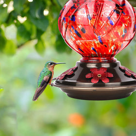 360-degree perch invites multiple birds around the feeder for easy viewing.