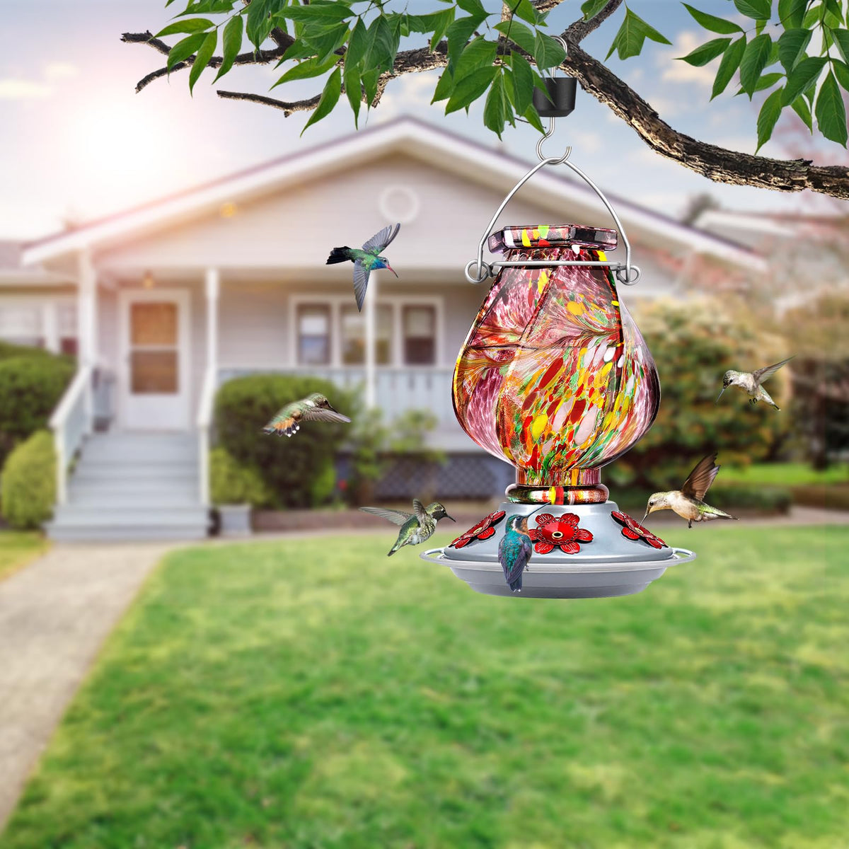 Bolite feeder with 360-degree perch supports multiple hummingbirds feeding together.
