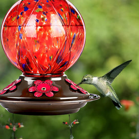 BOLITE feeder features a 360 degree perch for comfortable feeding
