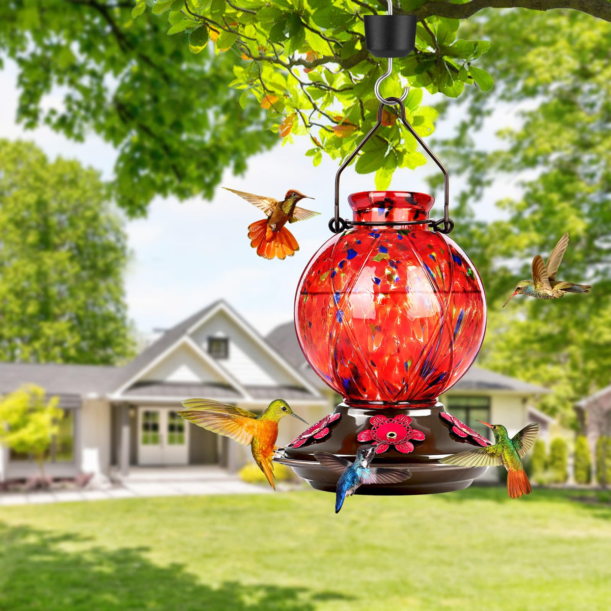 BOLITE feeder with five bee proof ports supports nectar clarity