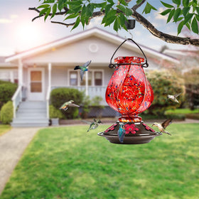 BOLITE hummingbird feeder with ant moat protects nectar from ants.