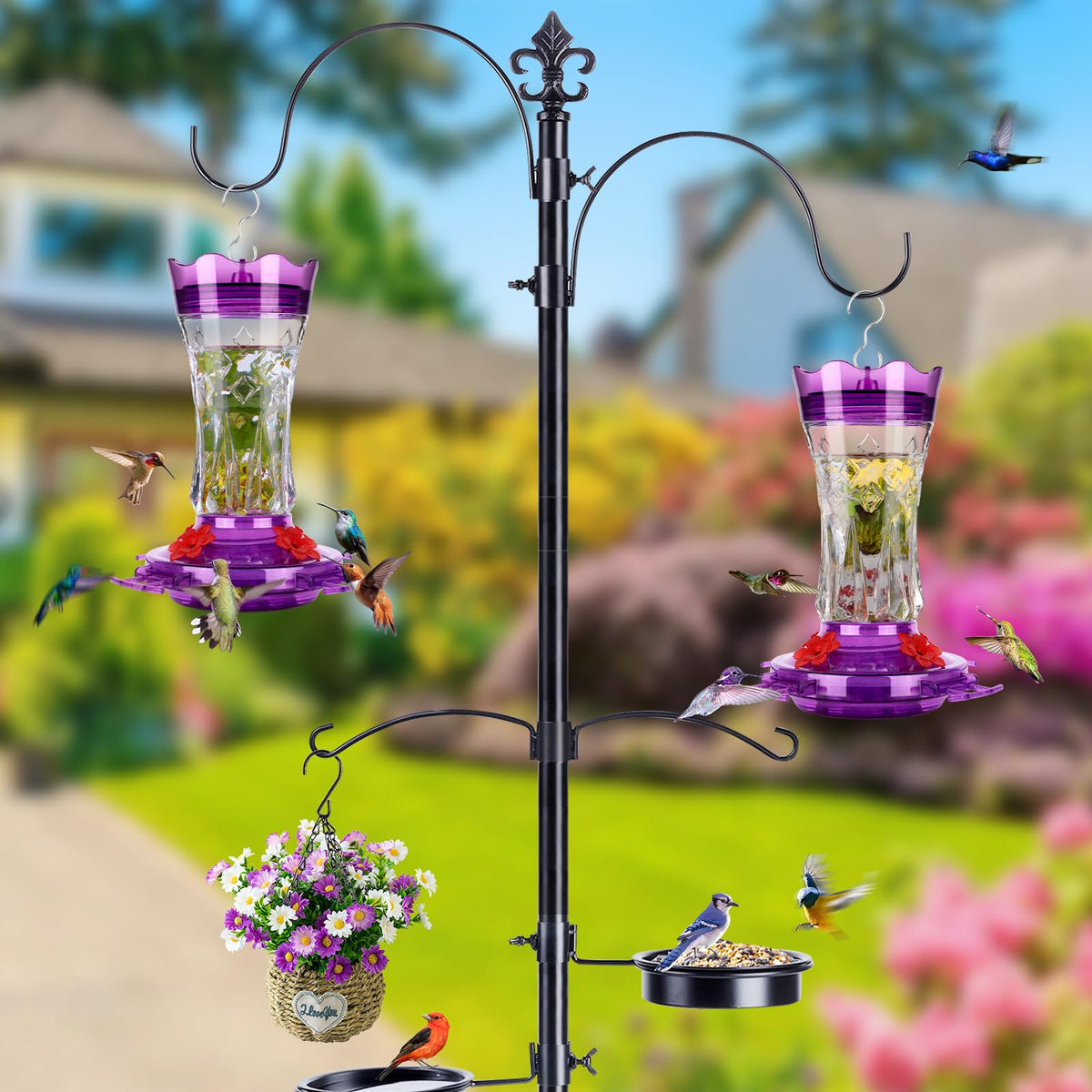 BOLITE feeder featuring four bee guard ports supports multiple hummingbirds