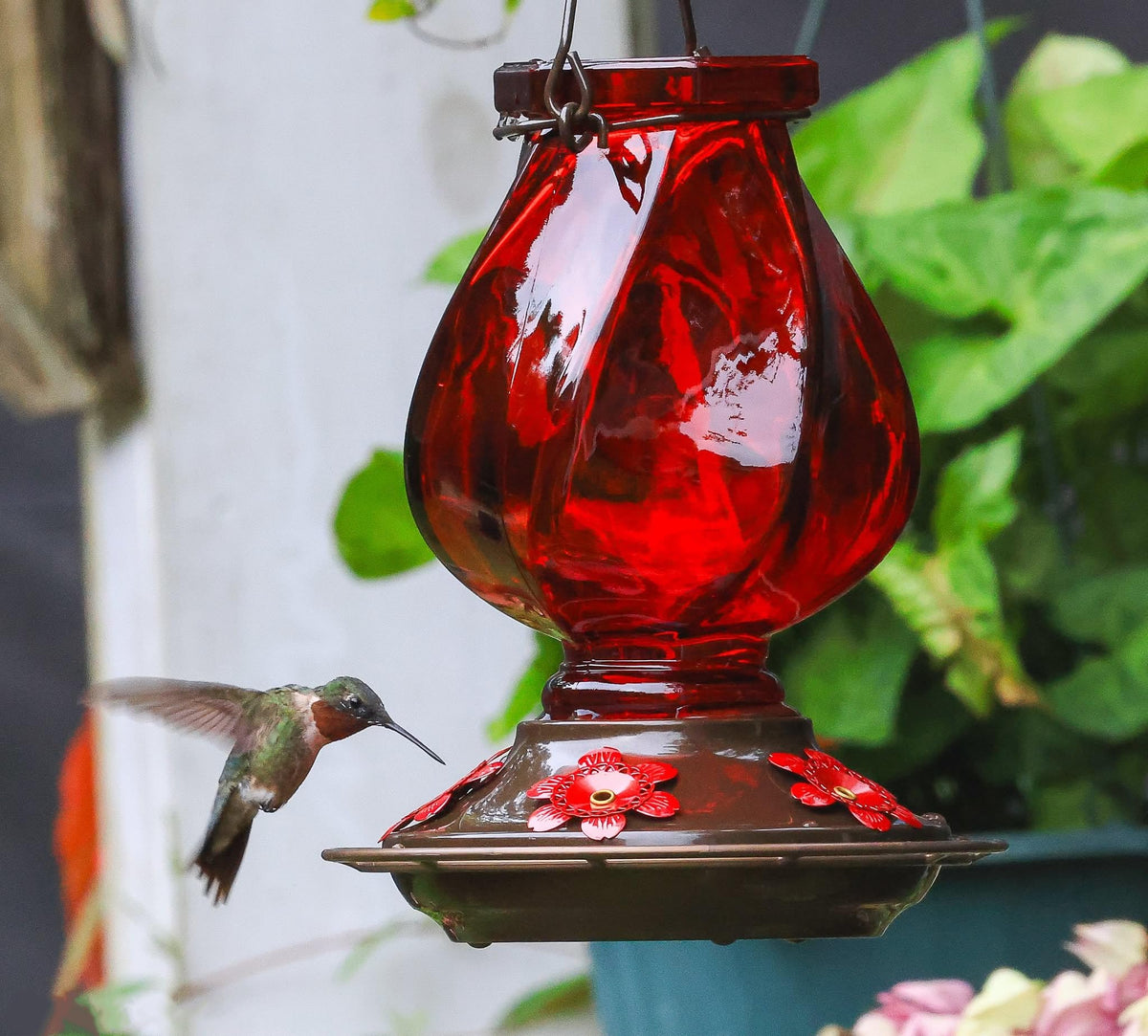 BOLITE feeder with bee-proof ports supports calm garden feeding.
