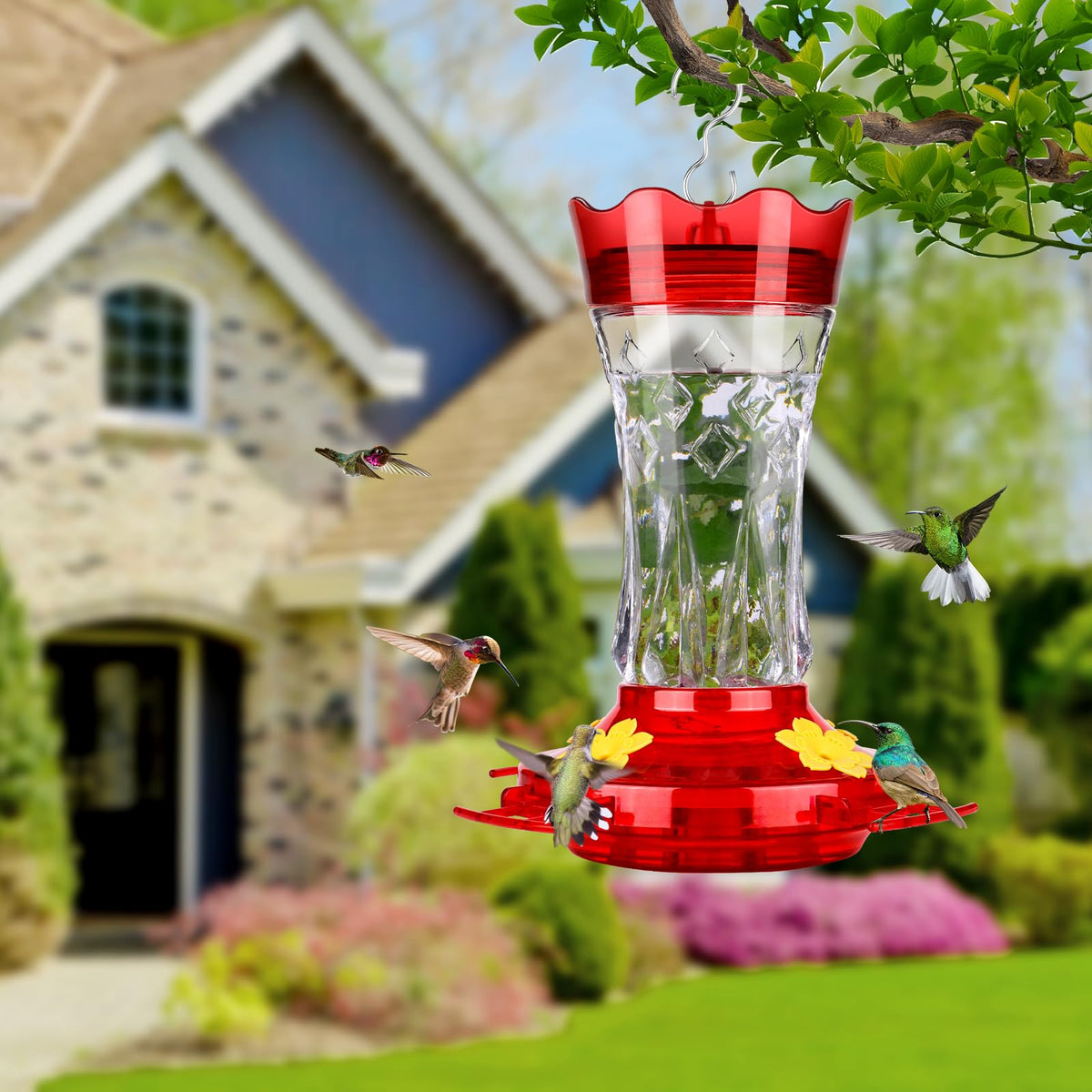 Bolite bright colours catch hummingbirds’ attention in the garden