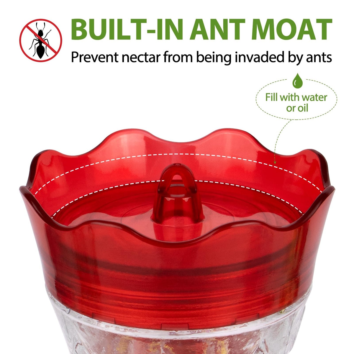 Bolite clear glass bottle shows nectar levels for easy monitoring
