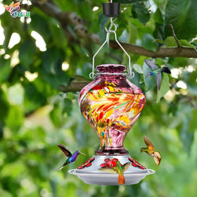 BOLITE feeder with five bee-proof ports supports clutter-free feeding