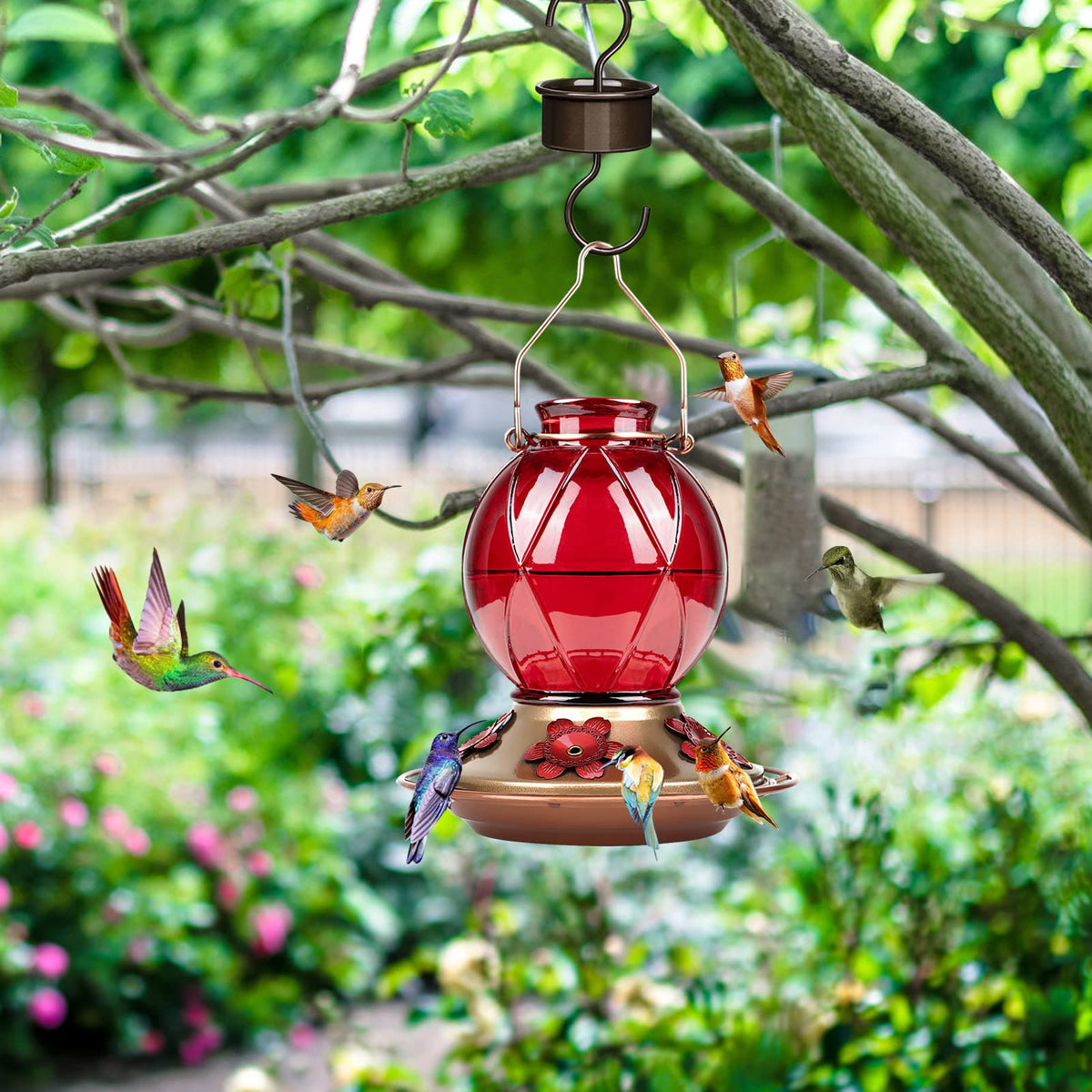 BOLITE glass 20 oz feeder provides ample nectar for hummingbirds.