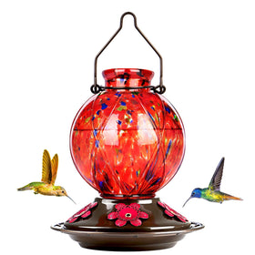 BOLITE hummingbird feeder with glass mesh texture attracts colorful visitors