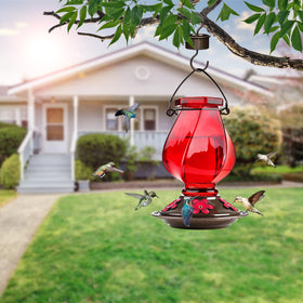 BOLITE hummingbird feeder side view highlights red glass and outdoor hanging.