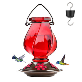 BOLITE hummingbird feeder top view shows clear glass for easy nectar monitoring.
