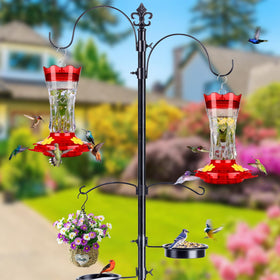 Bolite feeder ports and perches offer resting spots while feeding