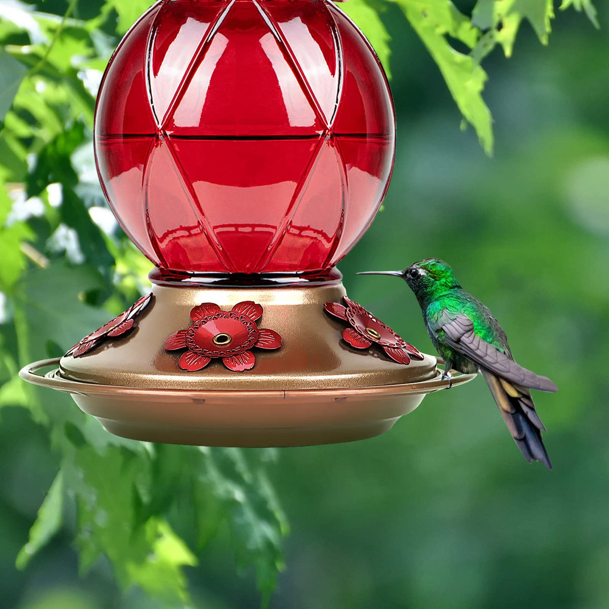 Red color attracts hummingbirds to the BOLITE feeder.