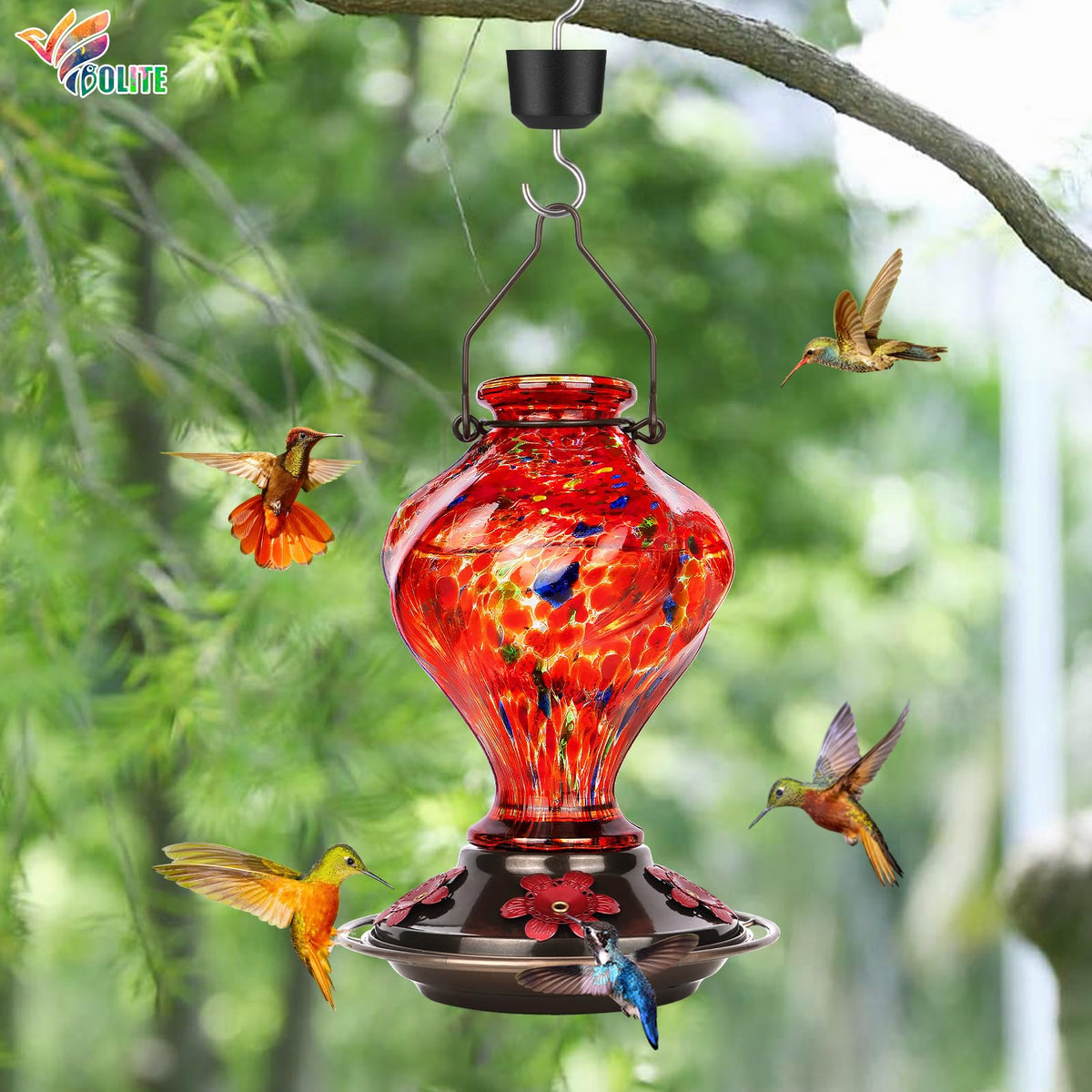 BOLITE Hummingbird Feeder has tinted glass for easy nectar monitoring