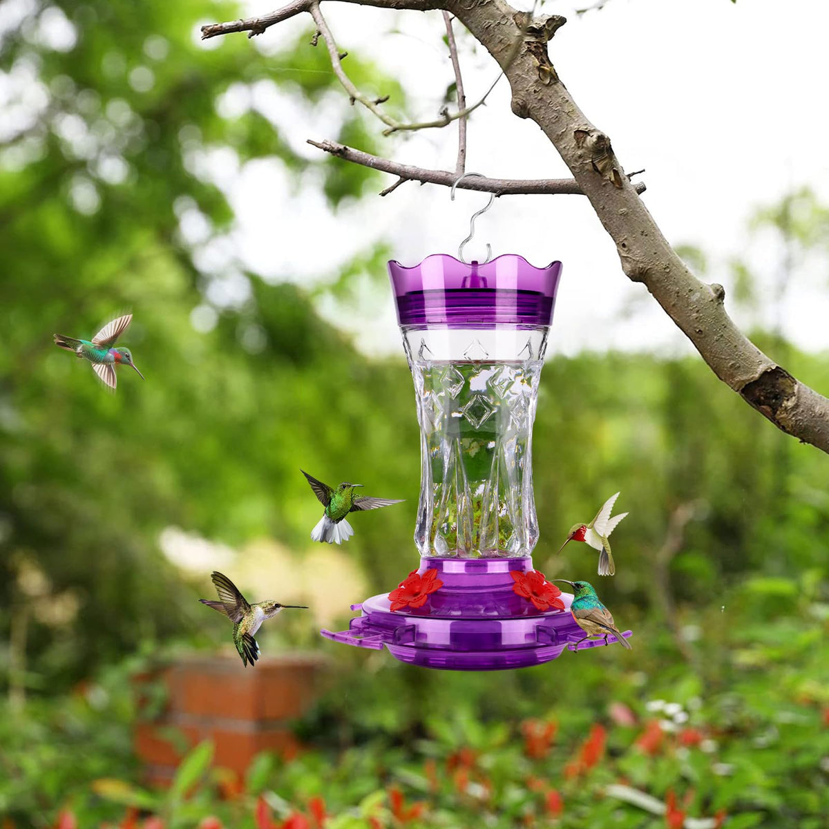 Two-pack of BOLITE hummingbird feeders for multiple feeding stations