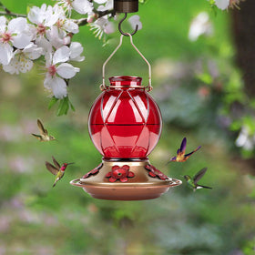 BOLITE feeder two-part base simplifies refilling and maintenance.