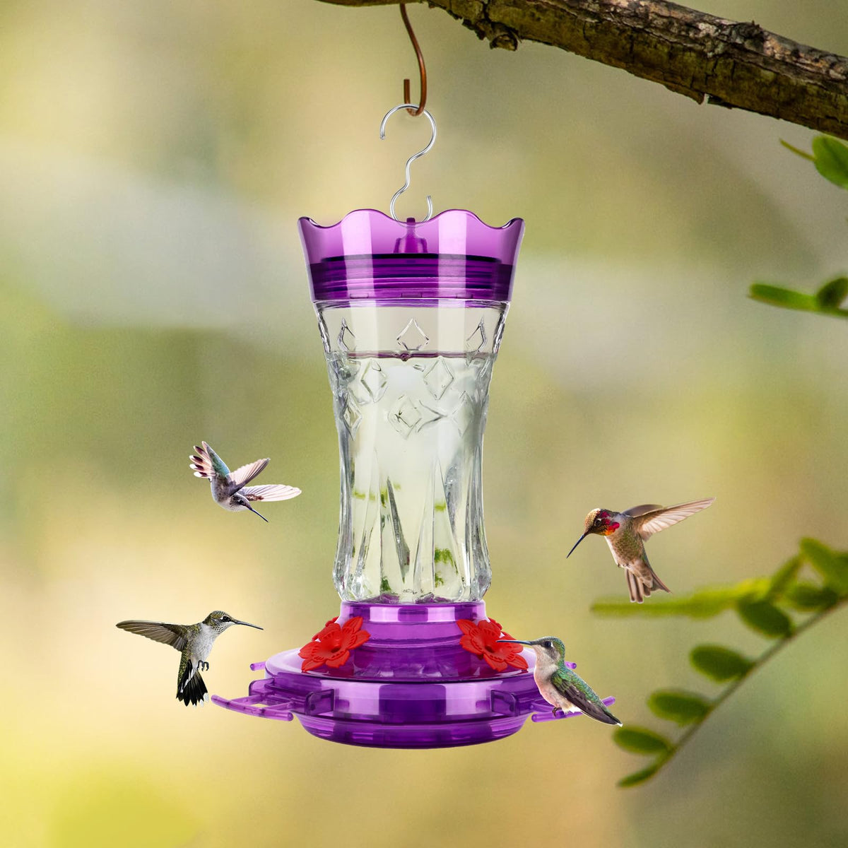 BOLITE outdoor hanging feeder draws in nectar-seeking hummingbirds.