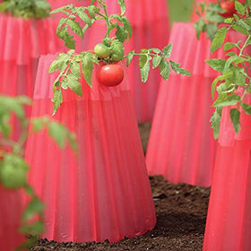 Bonadea Gardens Kozy Coats insulating plant protector for cucumbers guards vines against cool temperatures