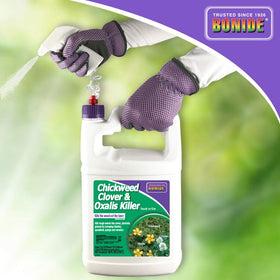 Bonide 128oz Ready-to-Use Lawn Weed Control bottle in action.