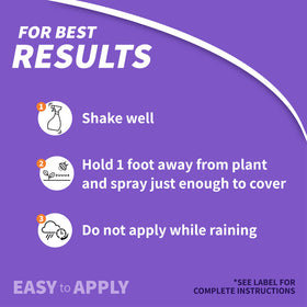 Bonide Eight Insect Control helps reduce ants on sidewalks and garden pathways.