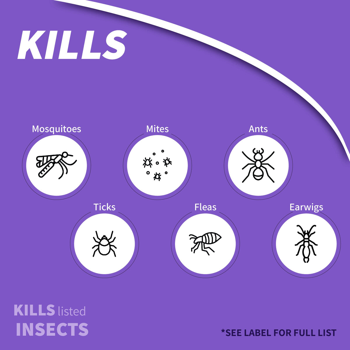 Bonide Eight Insect Control targets beetles on leaves for outdoor care.