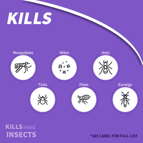 Bonide Eight Insect Control targets beetles on leaves for outdoor care.