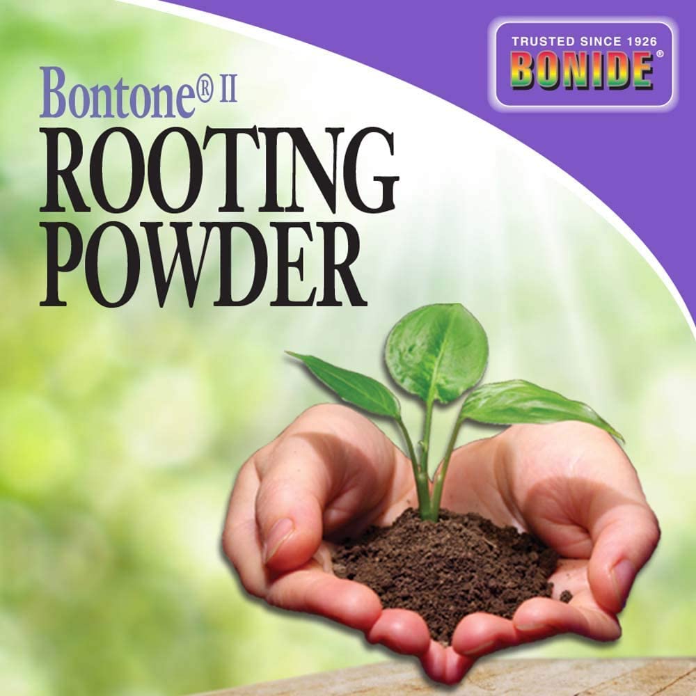 Applying Bonide Bontone Rooting Powder to a cutting during dipping process