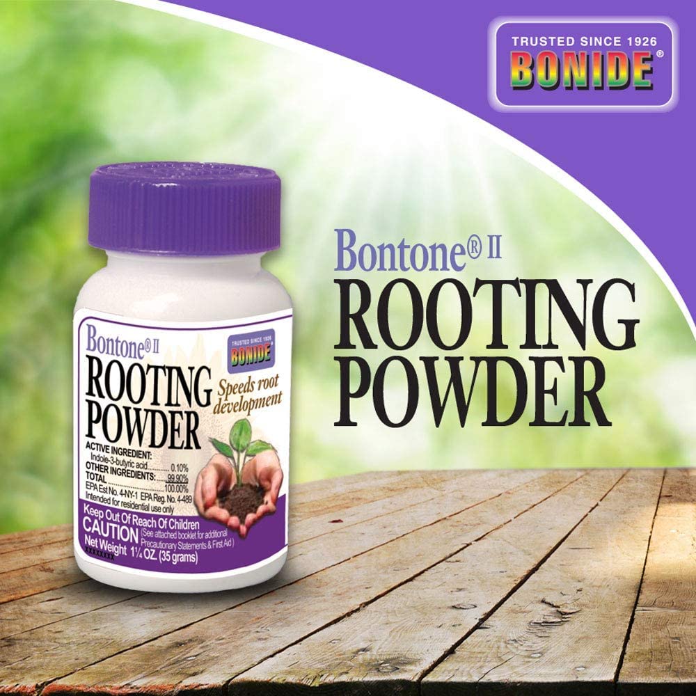 Using Bonide Bontone Rooting Powder to support transplant root establishment