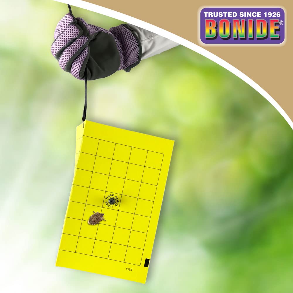 Bonide Bug Beater attracts from up to 50 feet away for broader protection.