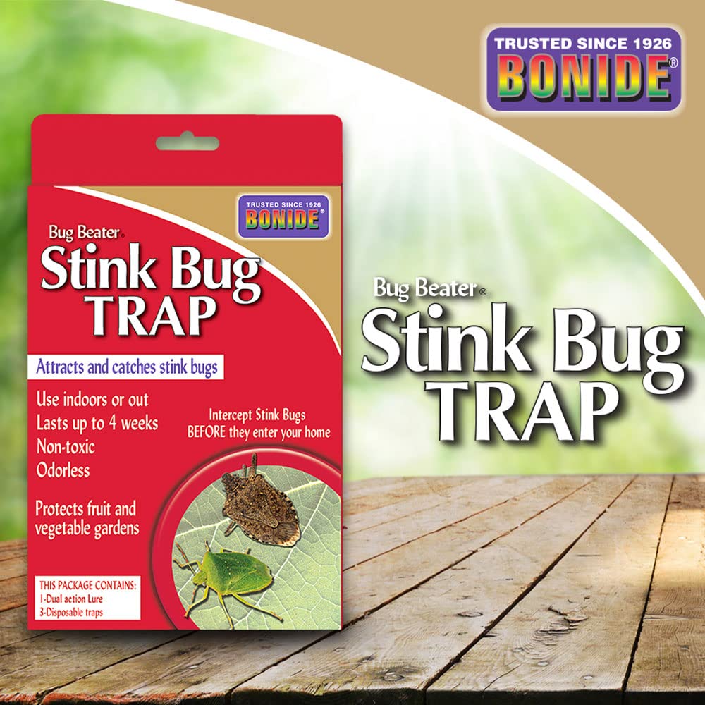 Bonide Bug Beater trap suitable for indoor use near entry points.