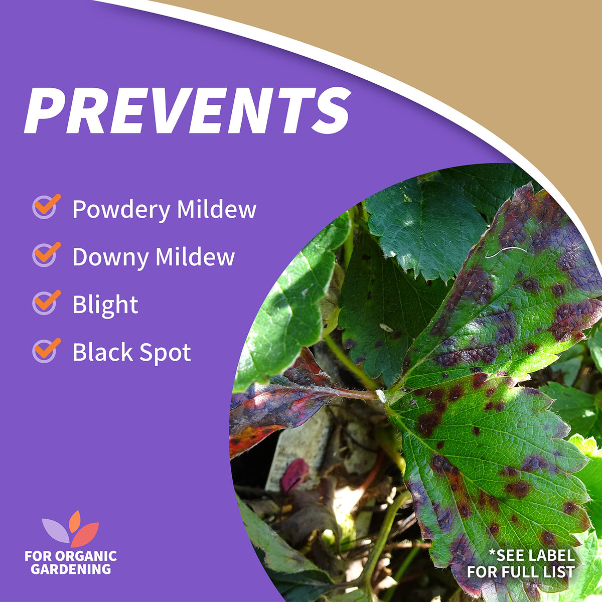 Bonide Captain Jack copper fungicide spray for plant protection.