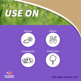 Application on leaf shows targeted caterpillar control for vegetables.