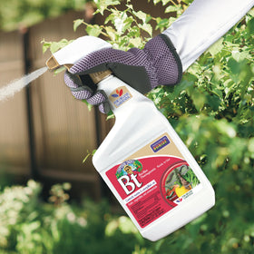 Fruit and vegetable garden scene with ready-to-use spray.