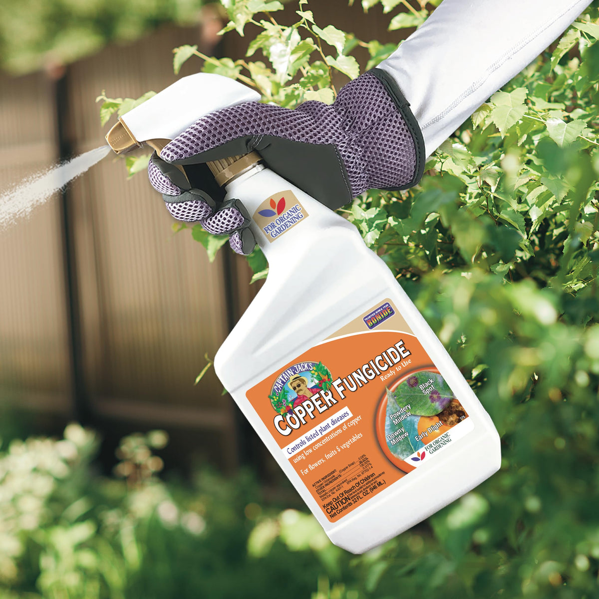 Captain Jack's Copper Fungicide provides harvest-day-ready protection when applied to affected foliage