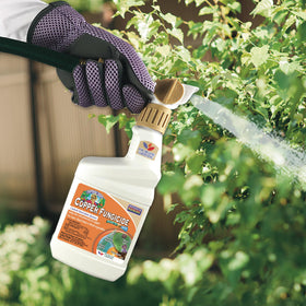 Dormant-season spray option helps protect plants year-round