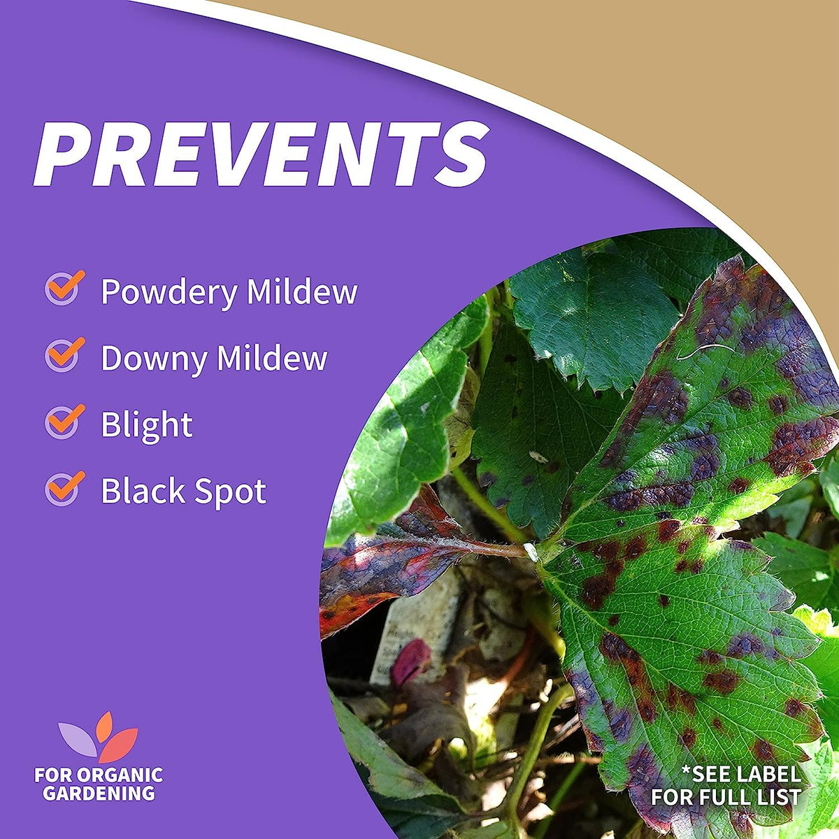 Captain Jack's Copper Fungicide on fruits and vegetables supports organic gardening.
