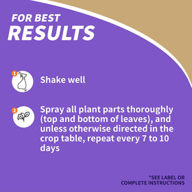 Captain Jack’s Copper Fungicide applied on leaves delivers full-coverage protection.