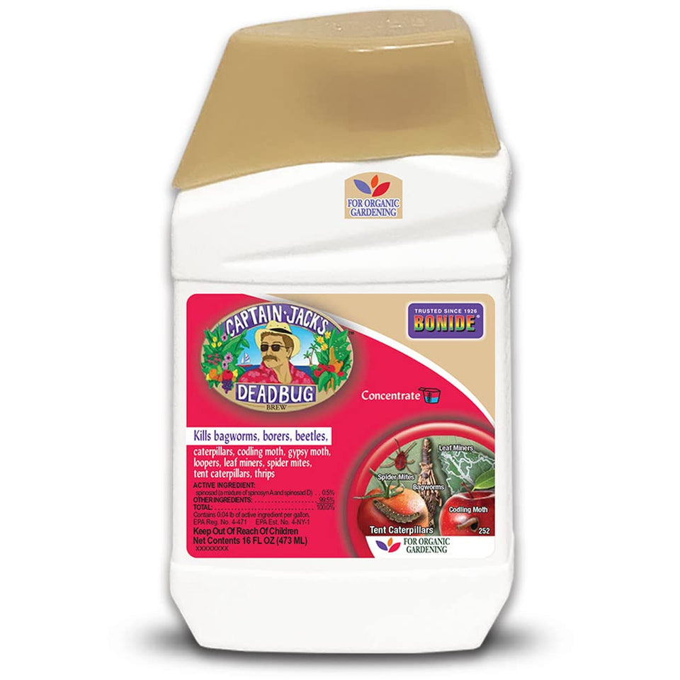 Bonide Captain Jack's Deadbug Brew concentrate bottle for organic pest control in gardens.