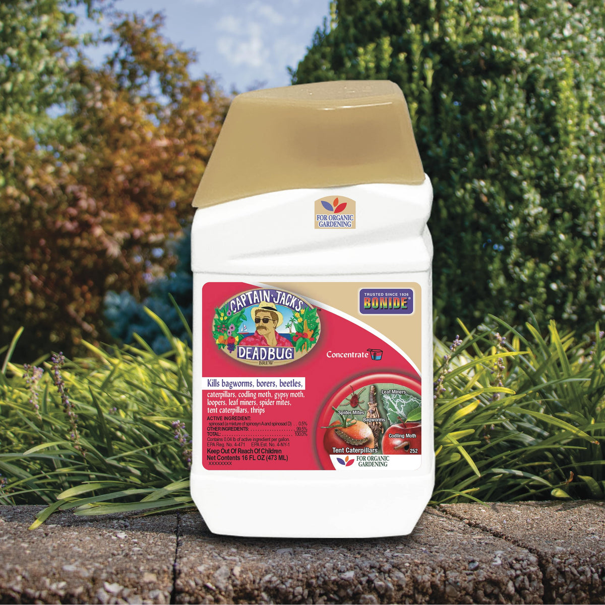Bonide Captain Jack's Deadbug Brew mixing with water for garden application.