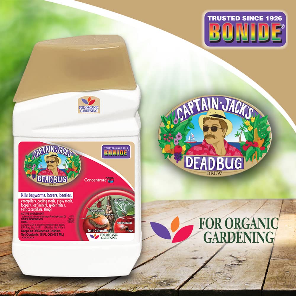 Bonide Captain Jack's Deadbug Brew on ornamentals and blooms for pest protection.
