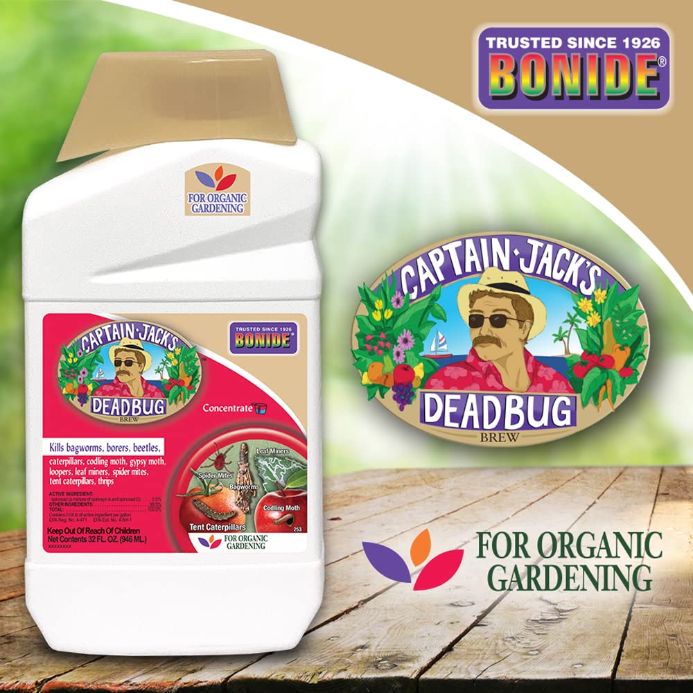 Spraying Captain Jack's Brew on leafy vegetables and fruits.