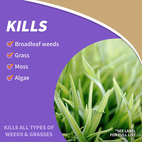 Bonide Captain Jack's Deadweed Brew targets garden-bed weeds with non-selective control.